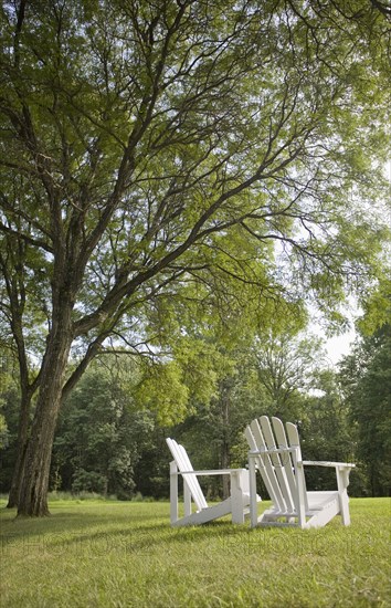 Pair of Adirondack chairs in back yard