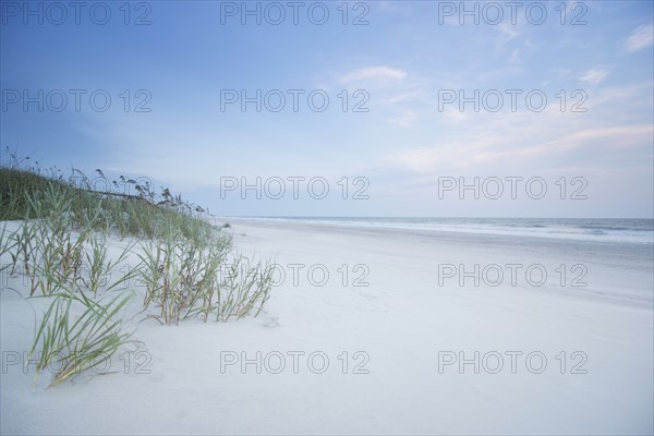 Empty beach with grass