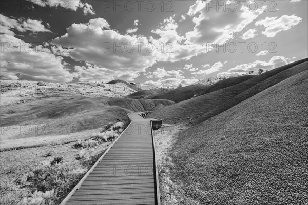 Boardwalk leading through hilly landscape