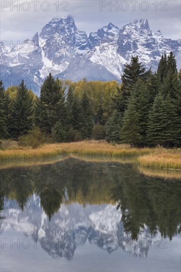 Snow covered Teton mountains and trees reflected in calm lake