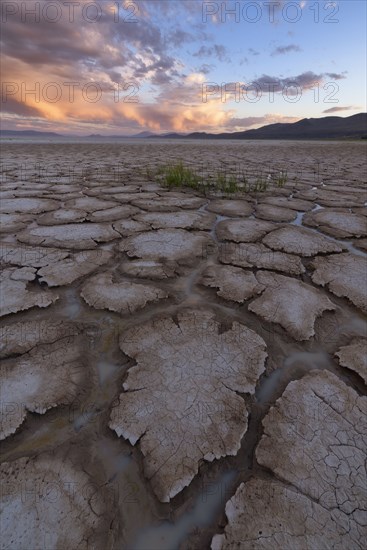 Cracked soil in desert at sunset