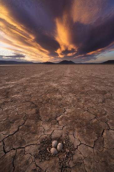 Sunset sky over desert with birds eggs in nest