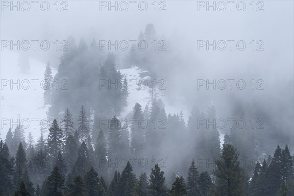 Clouds and fog over forest in mountains in winter