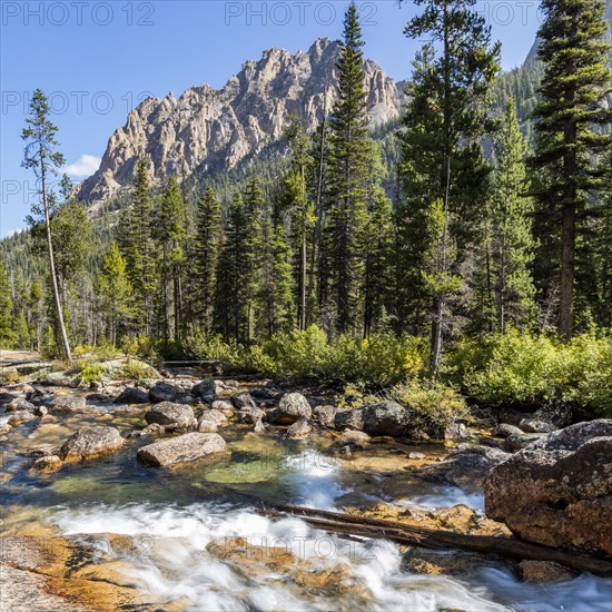 Landscape with forests