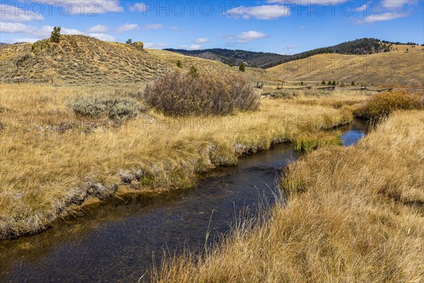 Creek flowing through meadows in fall