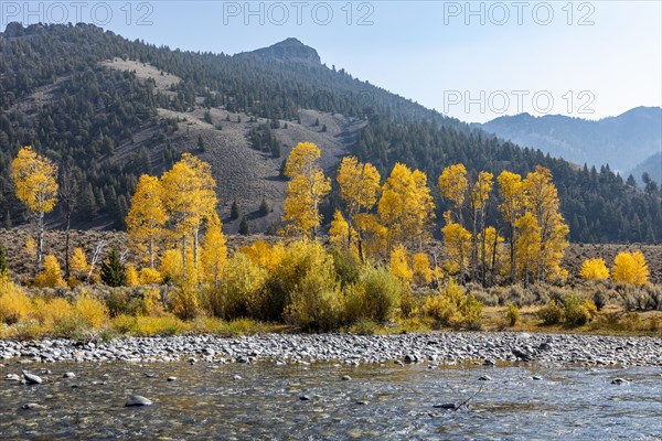 Big Lost River in autumn landscape with mountains and forests