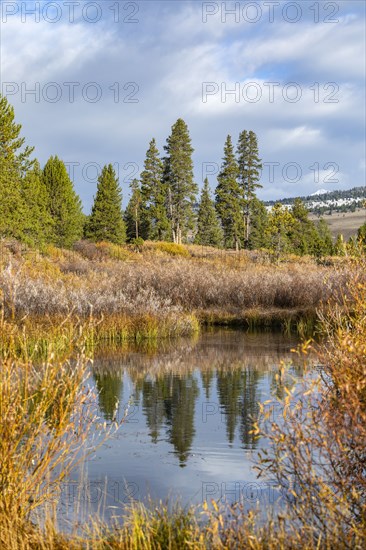 Trees reflecting in river flowing in autumn landscape