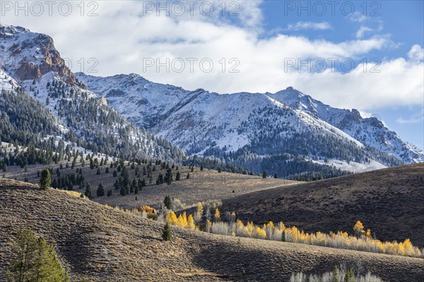 Landscape with snowcapped Rocky Mountains and autumn forests in valleys
