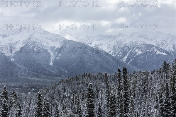 Landscape with snowy mountains and forests in winter