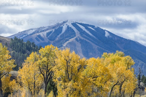 Bald Mountain of snowy mountains