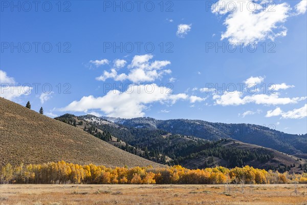 Bald Mountain of snowy mountains