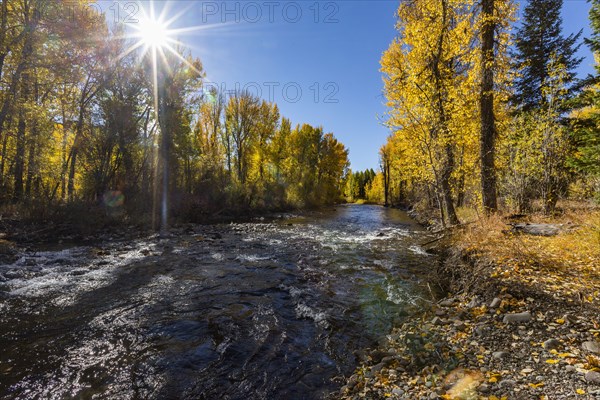 Big Wood River with autumn trees