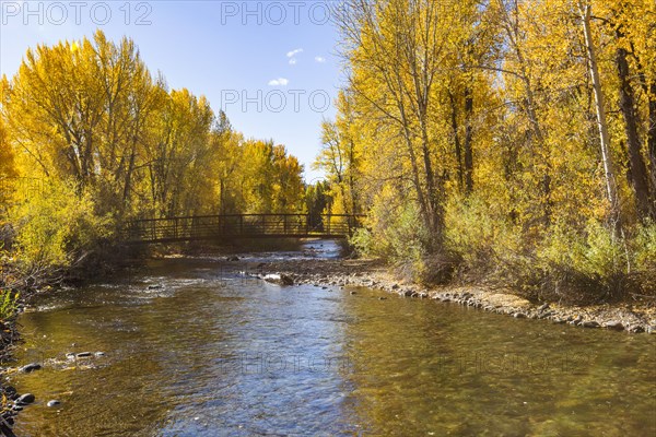 Big Wood River with autumn trees