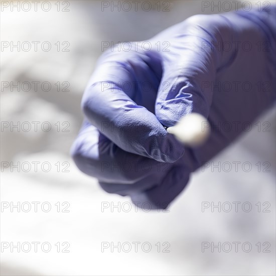 Hand holding Covid-19 test nasal swab