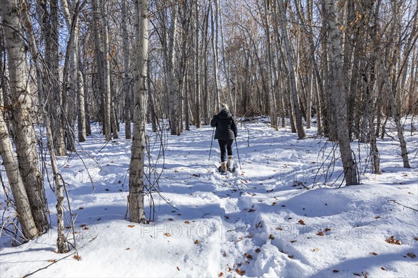 Senior woman snowshoeing