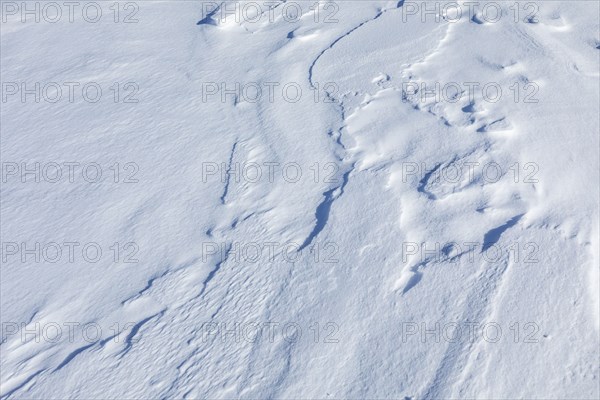 Windblown snow texture
