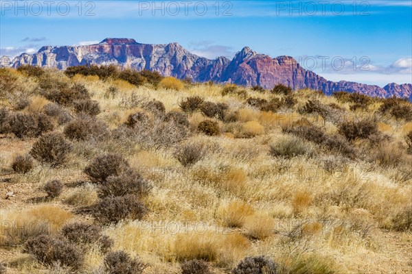 Mountains near Zion National Park