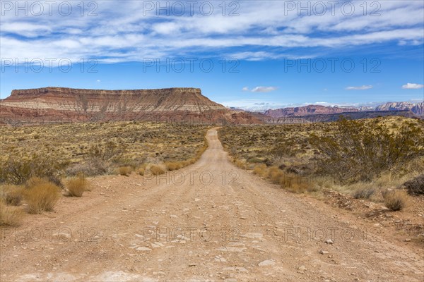 Dirt road across desert landscape near Zion National Park