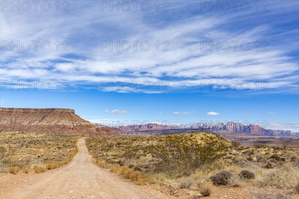 Dirt road across desert landscape near Zion National Park