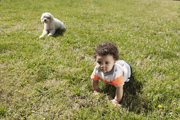 Child crawling on grass