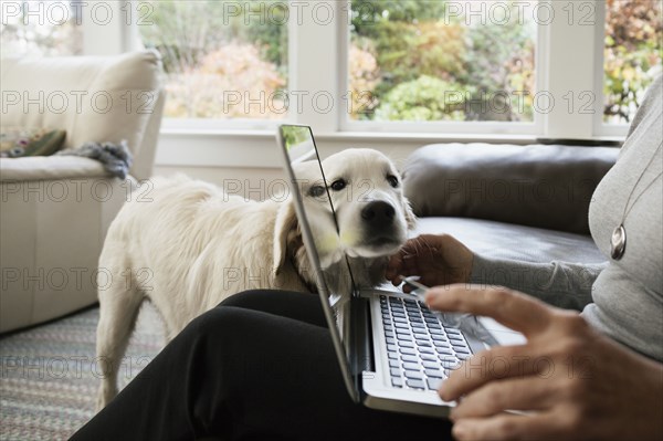 Close up of senior woman shopping online at home