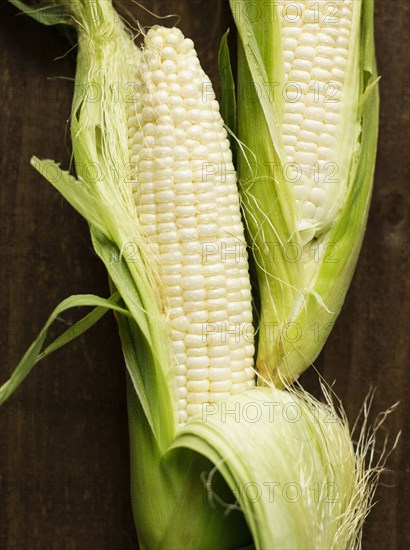 Overhead close up view of two corn cobs