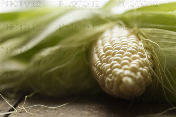 Surface level close up of corn cob on table