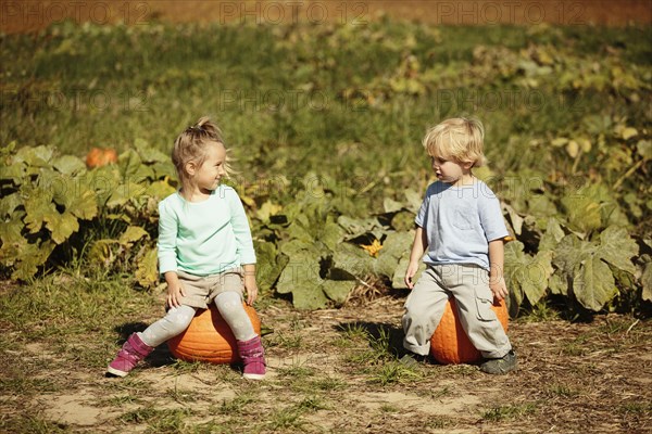 Brother and sister sitting on pumpkins in field