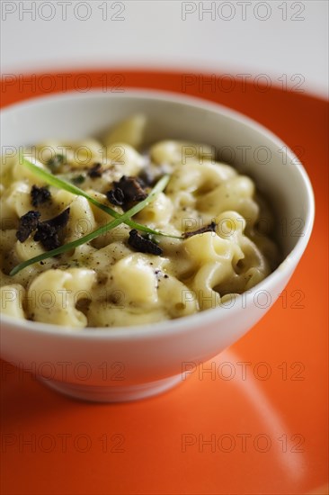 Macaroni cheese with truffle