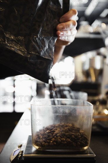 Coffee shop barista pouring coffee beans