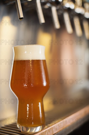 Beer resting under beer taps