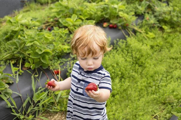 Toddler outdoors