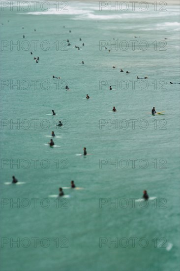 Surfers in sea