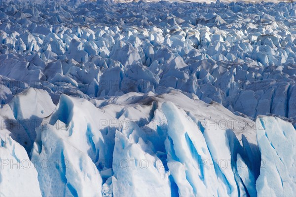 Perito Moreno Glacier