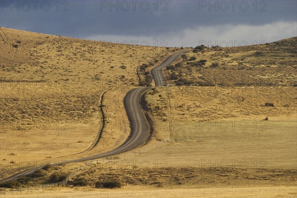 Empty road