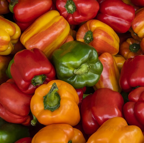 Overhead view of bell peppers