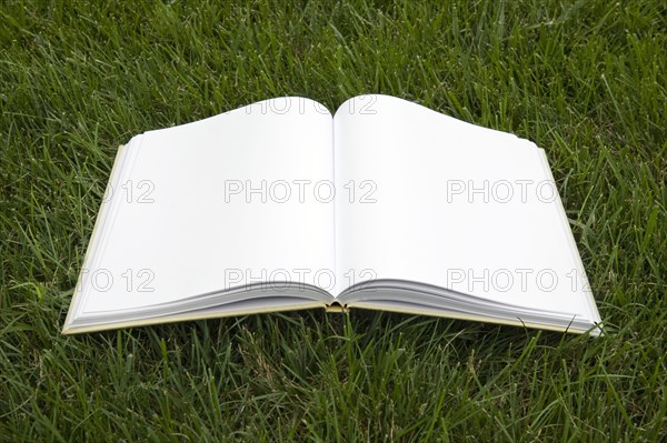 Open book with blank pages on grass