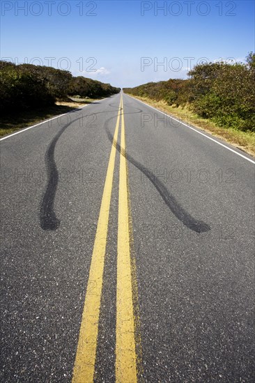 Tire tracks and double yellow line on empty road