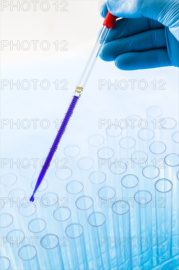 Gloved hand holding pipette with blue liquid above test tubes