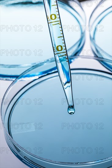 Petri dish with blue liquid and pipette