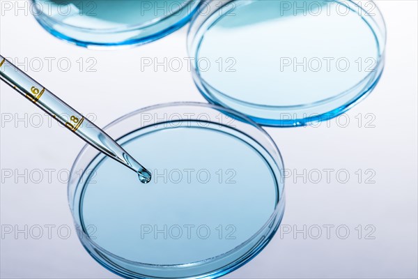 Petri dish with blue liquid and pipette