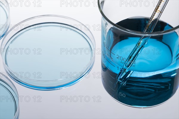 Petri dish with blue liquid and pipette