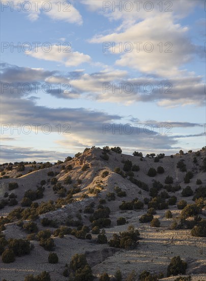 Galisteo Basin Preserve