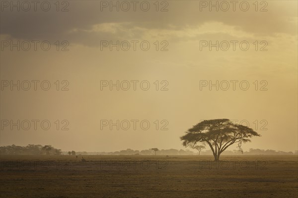 Kenya