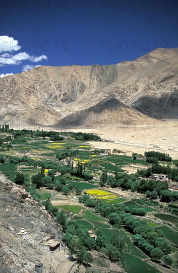 Landscape with Himalayas and green valley