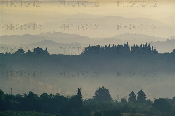 Rural hills with morning mist