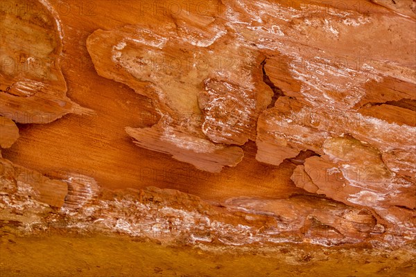 Close up of layers of sandstone in Grand Staircase-Escalante National Monument