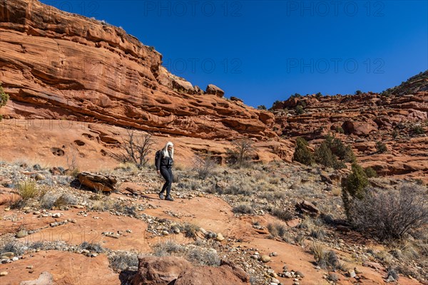 Woman hiking in Grand Staircase-Escalante National Monument