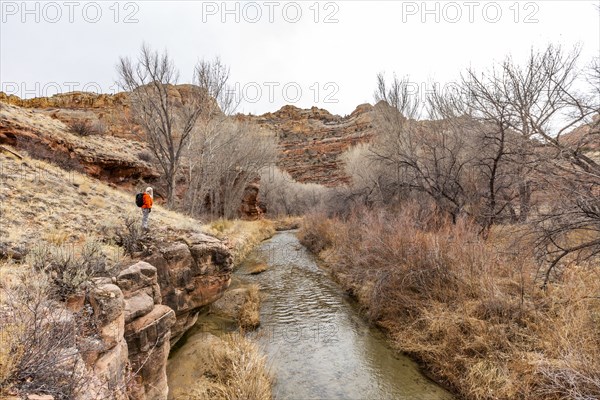 Woman hiking along Escalante River in Grand Staircase-Escalante National Monument