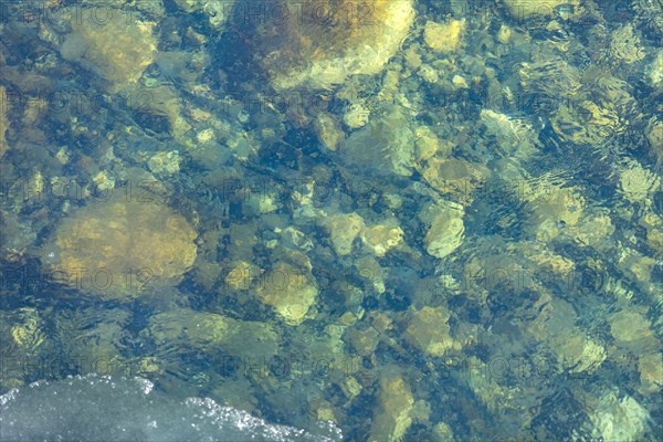 Clear waters of Salmon River